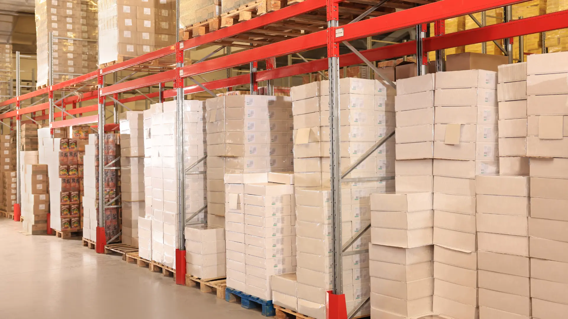 Wholesale & Distribution