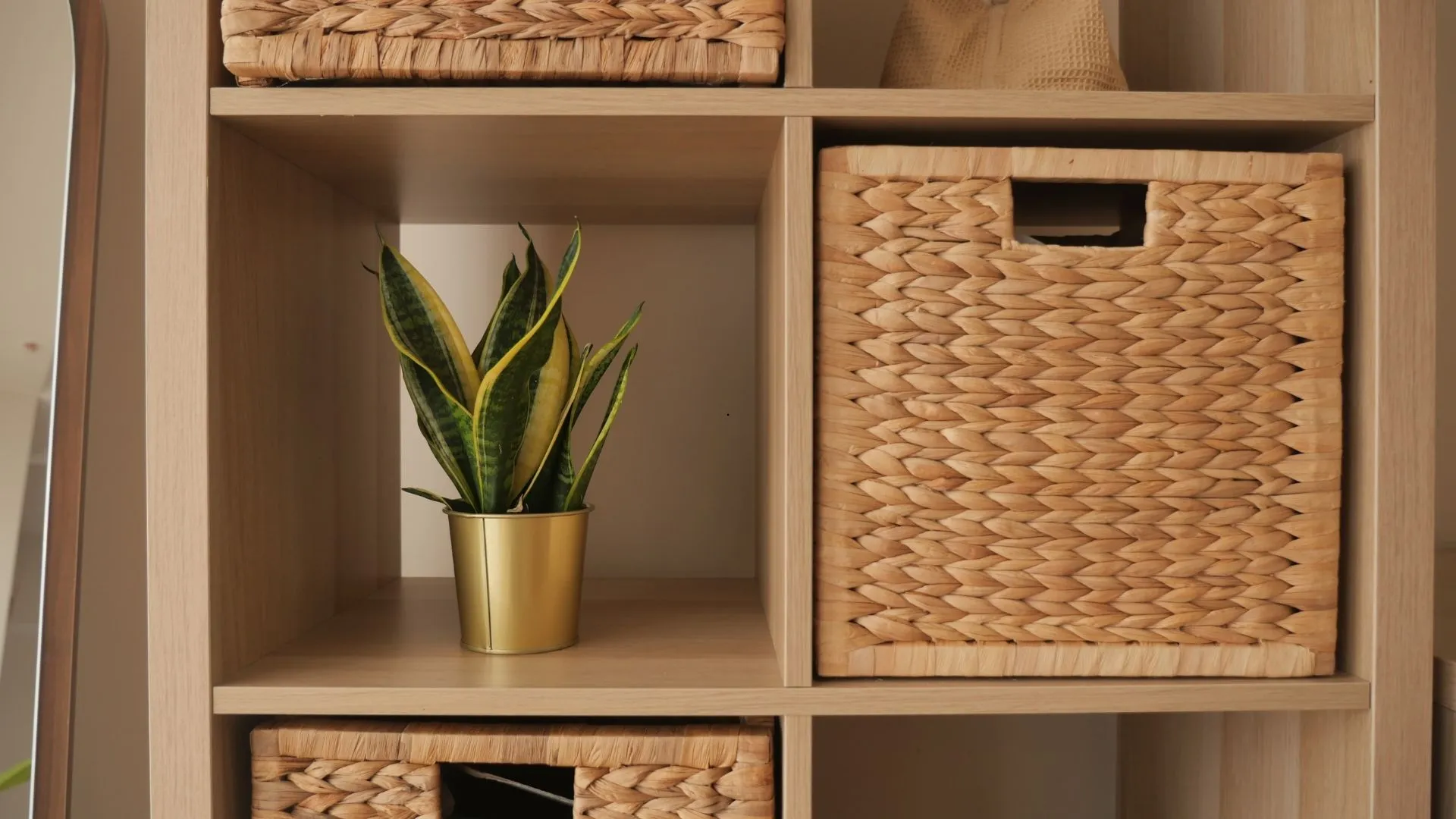 Storage Solutions